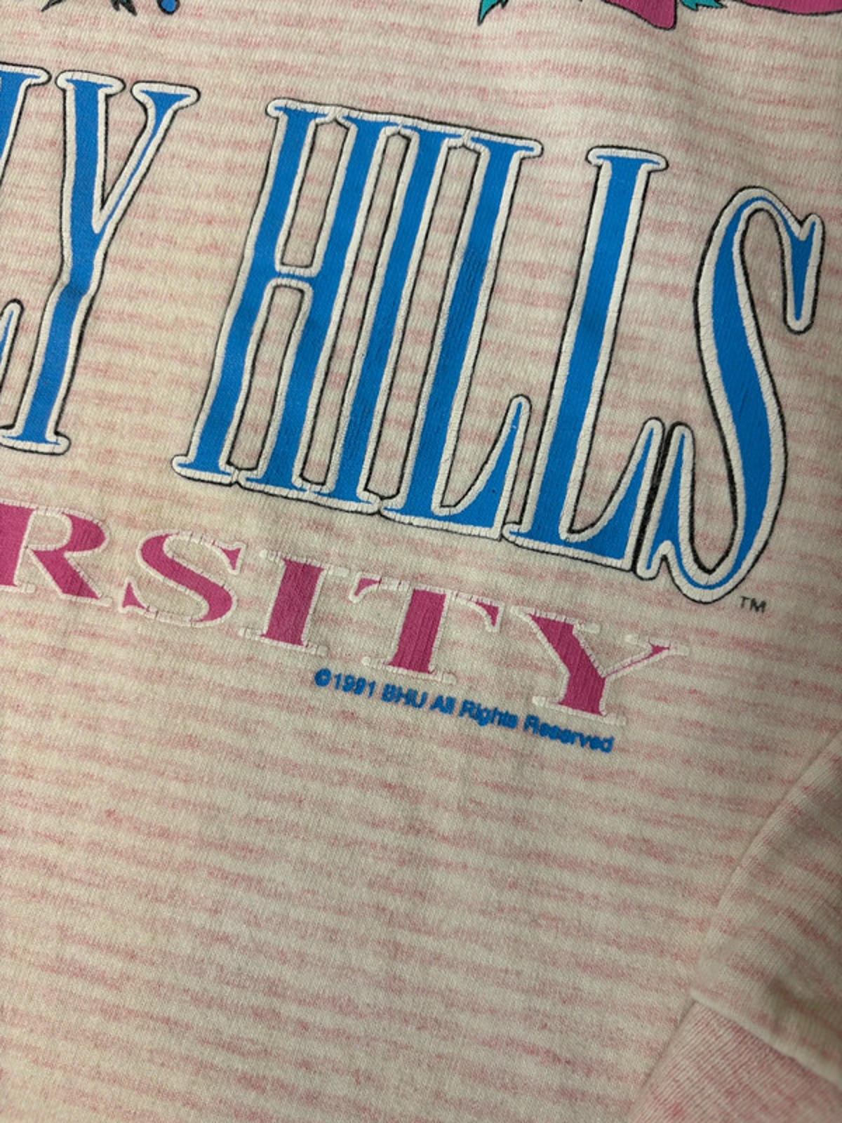 Vintage Beverly Hills University Sweatshirt (Unisex, One Size) 1991 Striped Crop